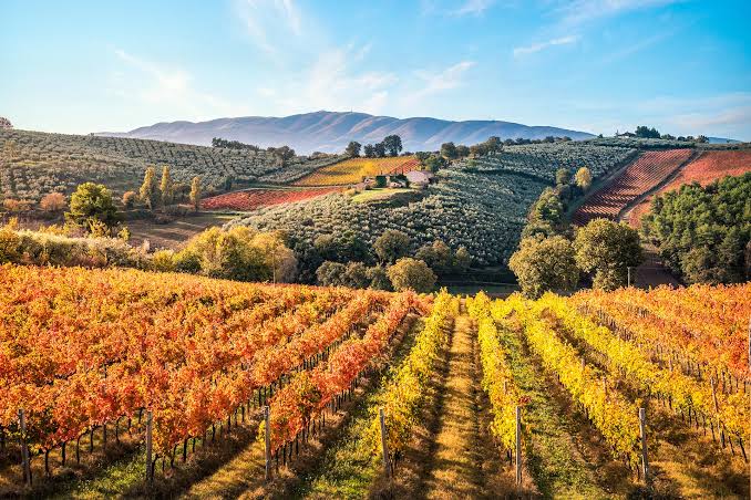 umbria