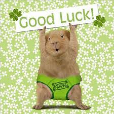 The general surgeon rated the work done as a 4 out of 10! Mastectomy Tomorrow Macmillan Online Community