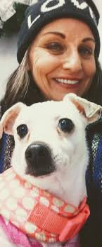 Supporting dogs in need of food and vet care