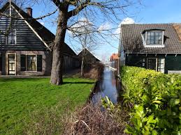 pin pa aalsmeer flower festival