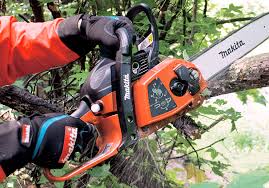 Buy the best and latest stihl ms290 chainsaw clutch on banggood.com offer the quality stihl ms290 chainsaw 406 руб. Chainsaw Complete Guide To Buying Understanding Chainsaws