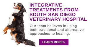 Maybe you would like to learn more about one of these? San Diego Vet Care South San Diego Veterinary Hospital