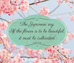Browse our selection of flower that being said, there are a handful. 42 Beautiful Flower Quotes Sayingimages Com Beautiful Flower Quotes Flower Quotes Beautiful Flowers Images