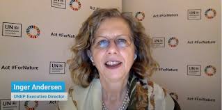 Universal recognition of the right to a healthy environment, video message  by Ms Inger Andersen