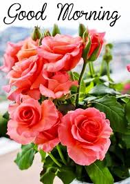 Share these beautiful good morning quotes for facebook. Happy Sunday Good Morning Images For Whatsapp Good Morning Images For Whatsapp Good Morning Images Mixing Images