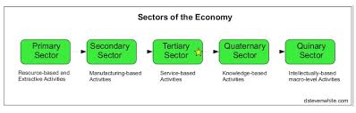 Tlp Iasbaba Day 82 Q 1 What Are Quinary Services How Is It Different From Quaternary Sector Activities Discuss