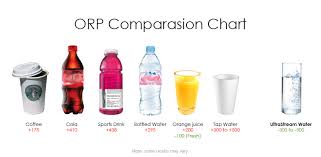 alkaline water and oxidation reduction potential orp