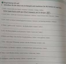 În grădina sa poți vedea cele mai frumoase flori. Propozitii Cu Weil Despre ViaÈ›a Din Romania