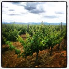 Maybe you would like to learn more about one of these? Guardiola De Font Rubi 89 Visitors