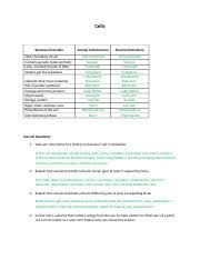In a plant cell, the cell wall is made up of cellulose, hemicellulose, and proteins while in a fungal cell, it is composed of chitin. Cells Lab Cells Structure Function Animal Cell Structure Plant Cell Structure Outer Boundary Of Cell Contains Genetic Material Dna Long Uncoiled Course Hero