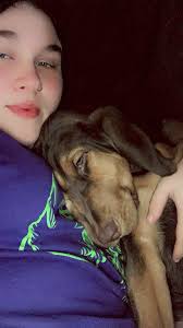 Training dog to hike with leash and collar