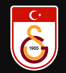 Erkek türkiye a milli takım logo baskılı spor kapşonlu sweatshirt. Turkiye Spor Klupleri Logolari Milli Takim 4 Buyukler