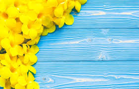Check spelling or type a new query. Red And Yellow Background 1920x1200 Wallpaper Teahub Io