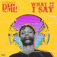 Instrumental Fireboy Dml What If I Say Remake Prod By Mykah Afrobeats Nigerian Music Videos Songs I Said