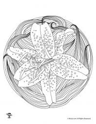 Lily name pages coloring pages these pictures of this page are about:lily name coloring pages. Adult Coloring Pages Flower Mandalas Woo Jr Kids Activities