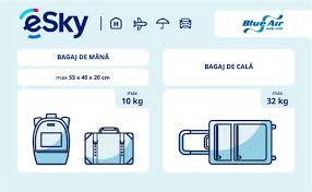 Wizz air a comandat si 10 aeronave a31neo, menite sa reduca amprenta de carbon si costurile deja optimizate ale companiei. Cat Costa Un Bagaj De Cala La Blue Air Cat Lovster