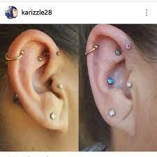 Forward Helix Conch Lobes Tragus Rook Faux Rook Helix Piercings Piercing Rook Piercing