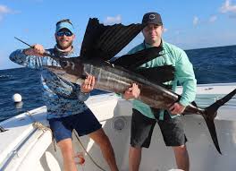Image result for sailfish