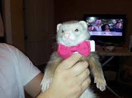 more holiday pics holiday pictures holiday great friends