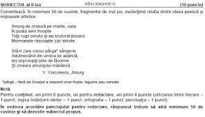 E pas de sfânt, e pas de lup? Relatia Dintre Ideea Poetica Si Mijloacele Artistice Bacalaureat