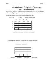 _key then fill out the square and determine what kind. Dihybrid Cross Practice Name Period Worksheet Dihybrid Crosses U N I T 3 Meiosis And Mendel Instructions For Each Problem Complete A Dihybrid Course Hero