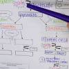 Which phases of cellular respiration occur in the mitochondria? 1
