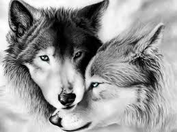 Diamond Painting Wolven Koppel 30x25 Cm Full Volledig Wolven Kunst Wolven Tatoeage Wolf