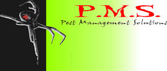 Description of work good professional work. Contact An Exterminator Grants Pass Medford Or Pest Management Solutions