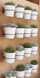 Pin On Vertical Gardening