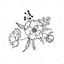 Carefully select each color with every little pony to make them look their best! Vector Peony Coloring Book Page For Adults Hand Drawn Artwork Royalty Free Cliparts Vectors And Stock Illustration Image 93602636