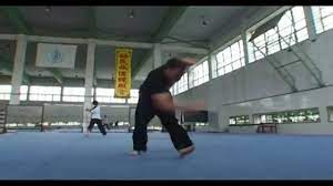 He is also trained in a number of other martial arts including karate, aikido, hapkido, taekwondo, wing chun, boxing and kickboxing. The Very Great Brad Allan Youtube