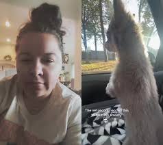 Jacob Schorfhaar Peanut Butter Dog