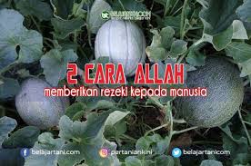 Yakinlah bahawa rezeki itu jaminan allah. 2 Cara Allah Memberikan Rezeki Kepada Manusia