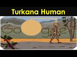 Google doodle digs into the turkana human pokemon unite speedster guide: 8w2nvl1yp9gv0m