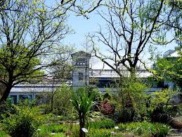 Few gardens can match the sheer grandeur of the setting of kirstenbosch, against the eastern slopes of cape town's table mountain. Botanischer Garten Leipzig Offnet Endlich Wieder Seine Turen Leipziginfo De