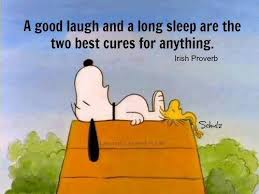 We did not find results for: Charlie Brown Quotes Tumblr Dogtrainingobedienceschool Com