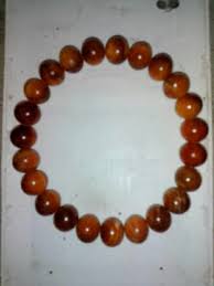 Agathis Wood Bracelete