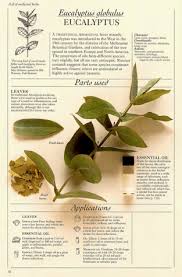 The Complete Medicinal Herbal A Practical Guide To The Healing Properties Of Herbs With More Than 250 Remedies For Herbalism Herbal Remedies Herbal Education