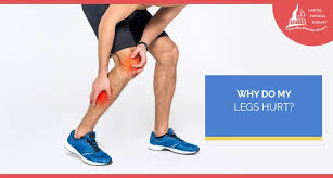 Image result for Leg Pain
