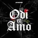 Risultati immagini per odi et amo testo