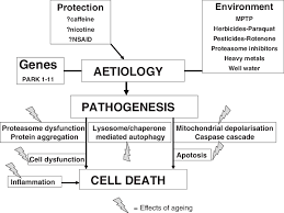 It causes tremors, stiffness, and slow movement. Aetiology And Pathogenesis Of Parkinson S Disease Download Scientific Diagram