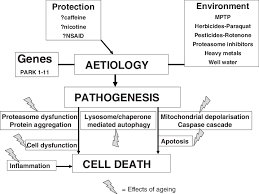 Pathophysiology of parkinson's disease although we are learning more each day about the pathophysiology of parkinson's disease, it is still considered largely idiopathic (of unknown cause). Aetiology And Pathogenesis Of Parkinson S Disease Download Scientific Diagram