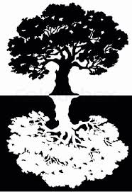 Black And White Silhouette Black And White Tree Clipart Https Www Colourbox Com Vector Two Black And White Trees Vector Vector 5032260 Oak Tree Drawings Oak Tree Silhouette Tree Silhouette