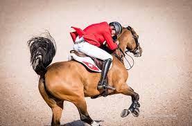 The mare, known for her lofty jumping style and small frame, is no the course was really perfect for my horse, steve says of the day one design. The Little Mare That Could Steve Guerdat And Bianca Blaze Through Weg Noelle Floyd
