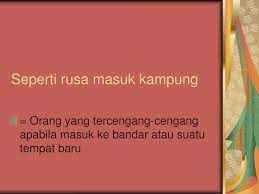 Peribahasa adalah salah satu materi yang sering diajarkan di berbagai tingkat sekolah, mulai dari sd, smp, hingga sma. Ppt Peribahasa Powerpoint Presentation Free Download Id 754752