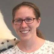 Hamoonga Samuel Kalapa and Emily Elizabeth Michlig's Wedding Website