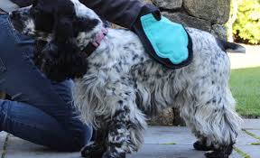 The labradoodle's lush hair and locks require regular and ongoing grooming. 4 Best Dog Grooming Gloves Mitten Brushes For Handheld Grooming