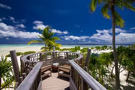 We did not find results for: Kiwis Take Research To Brando S Paradise Nz Herald