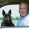 Former president barack obama on saturday announced that former first dog bo had died. 1