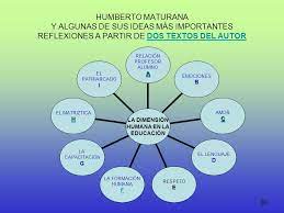 Estudió medicina en la universidad de chile, y en 1954 cursó estudios de anatomía y neurofisiología en el. La Dimension Humana En La Educacion Ppt Descargar